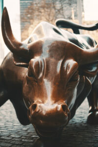 Charging Bull - Wall Street Bull - Bowling Green Bull - NYC, New York