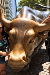 Charging Bull - Wall Street Bull - Bowling Green Bull - NYC, New York